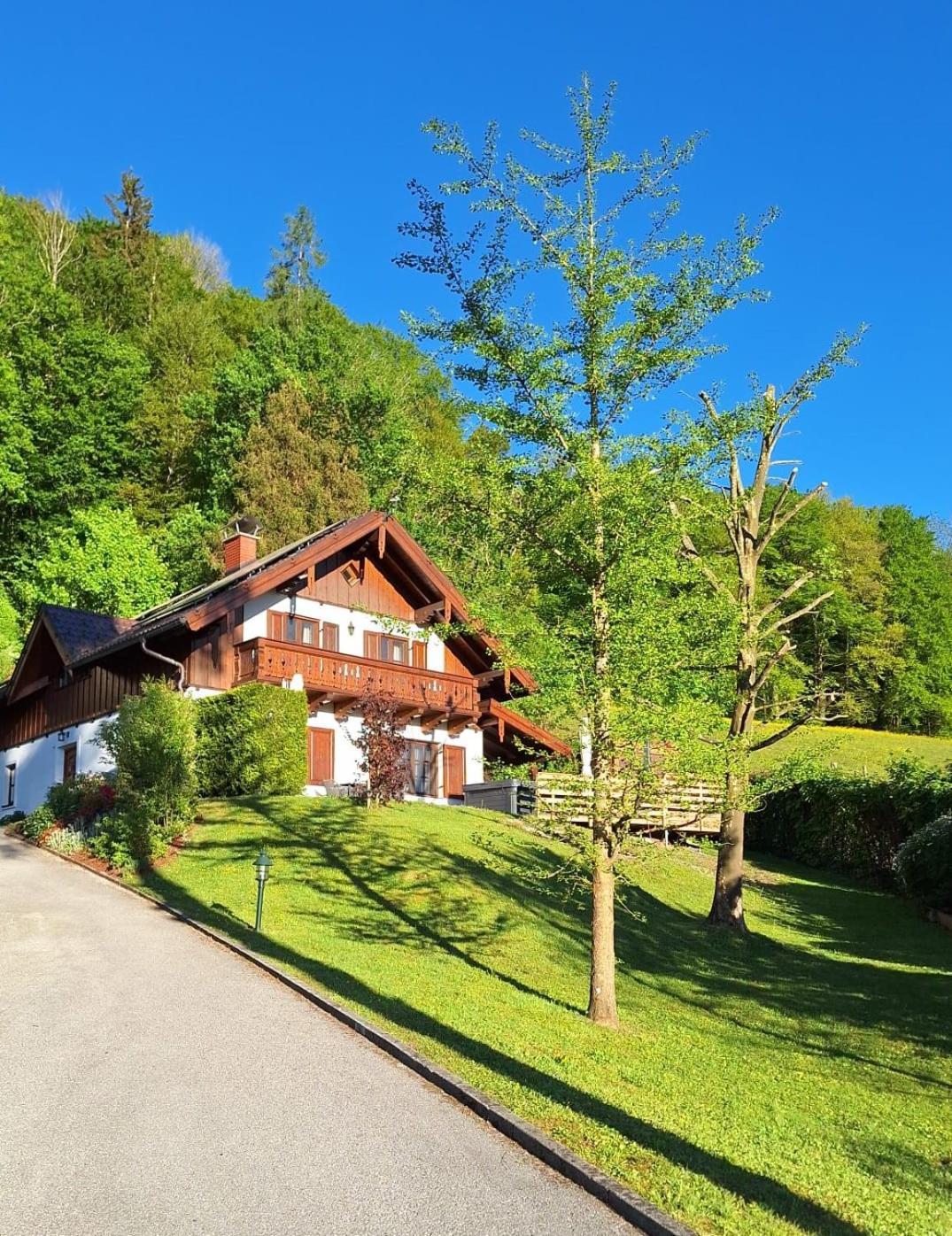 Luxus Alpenparadies Nahe Salzburg Sauna & Whirlpool Adnet Eksteriør billede